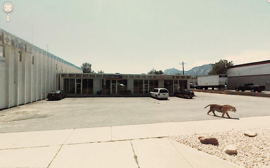 funny-google-street-view-photos-33