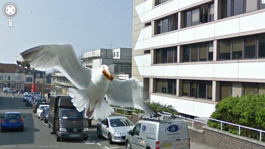 funny-google-street-view-photos-37
