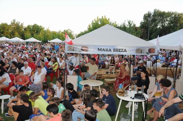 tabara sculptura mileniului 3 - concert margineanu parc titan LM_0011