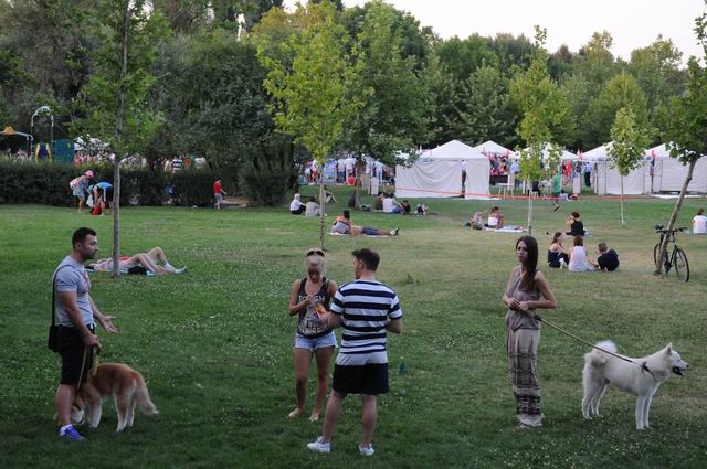 tabara sculptura mileniului 3 - concert margineanu parc titan LM_0013