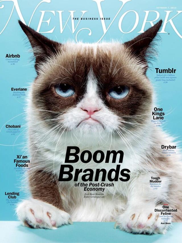 Grumpy Cat on the Cover of New York Magazine