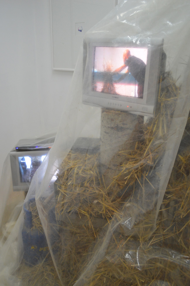 Harvest II @ Asociatia Visual Kontakt, Oradea (1)