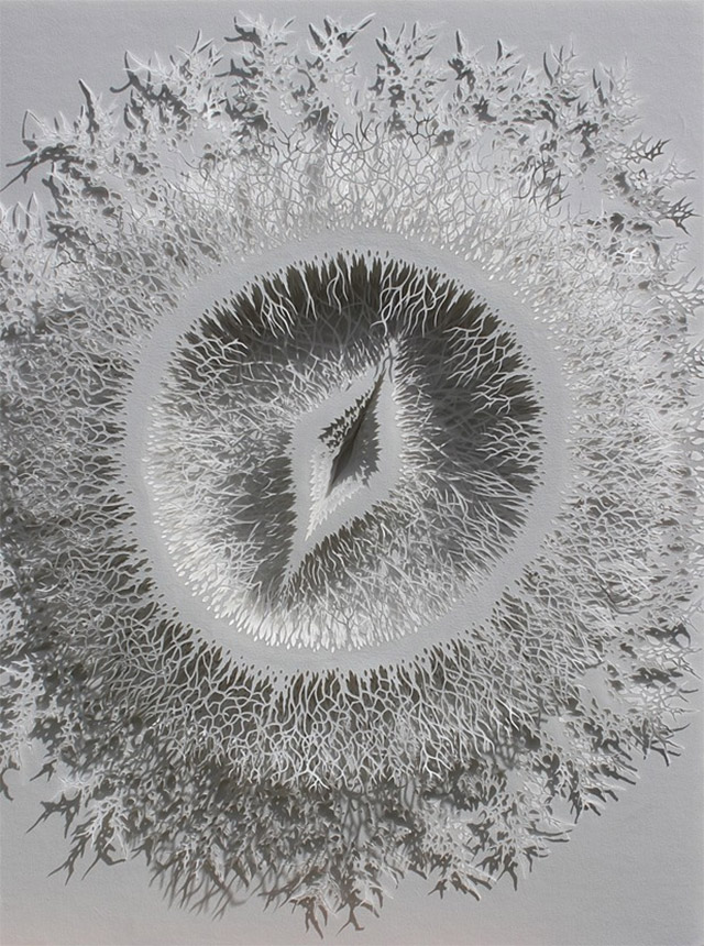 paper-5