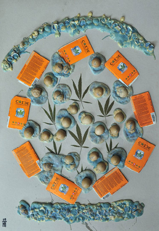 Club_Electroputere_Mihail_Trifan_04