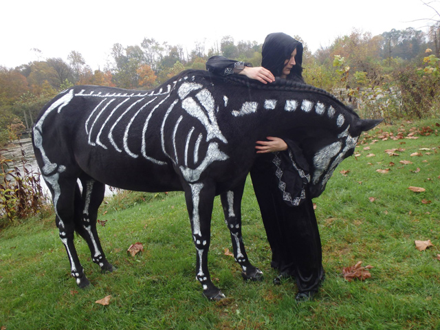Skeleton Horse, Artist Paints White Bones on Her Black Horse (2)