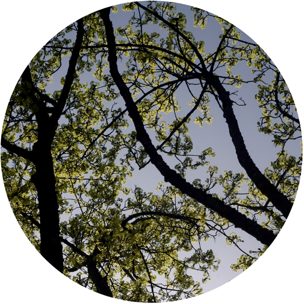 Untitled-9_50