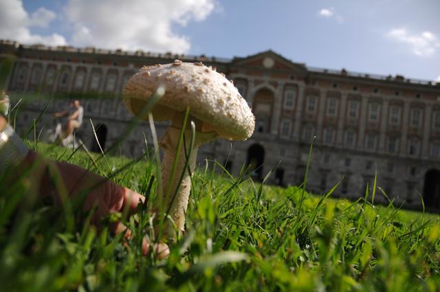 caserta - italia foto lucian muntean 24