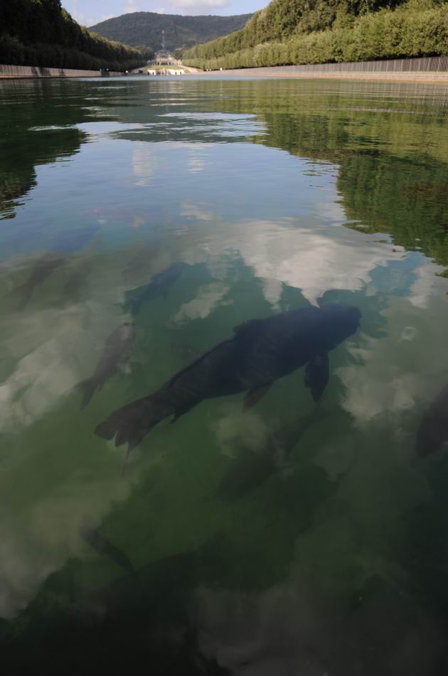 caserta - italia foto lucian muntean 28