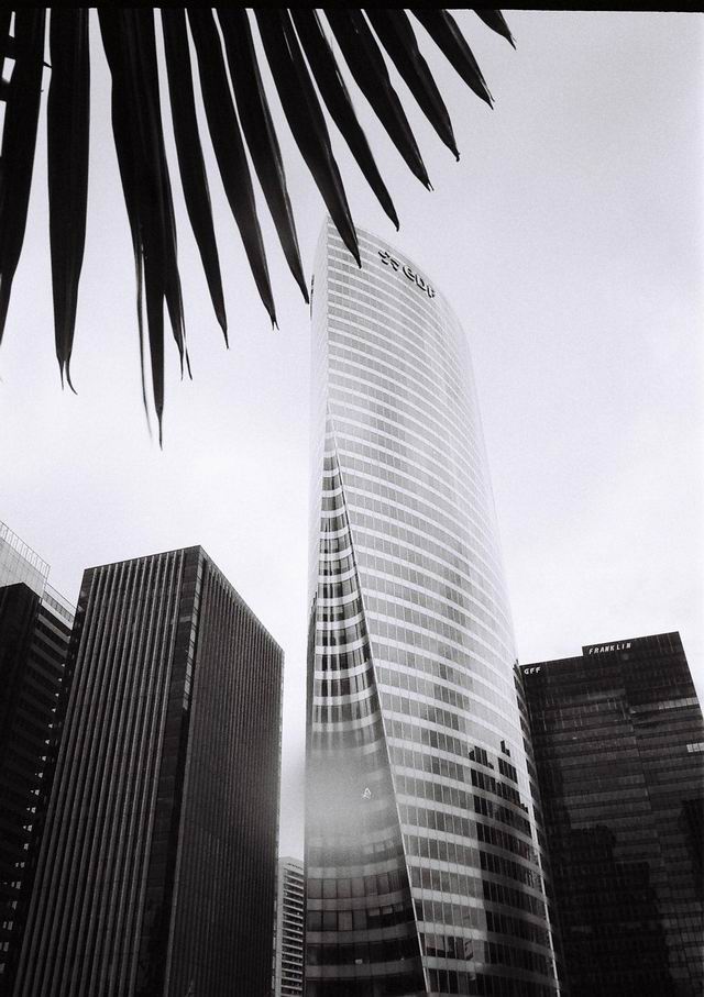 la defense - paris 2007 foto lucian muntean 07