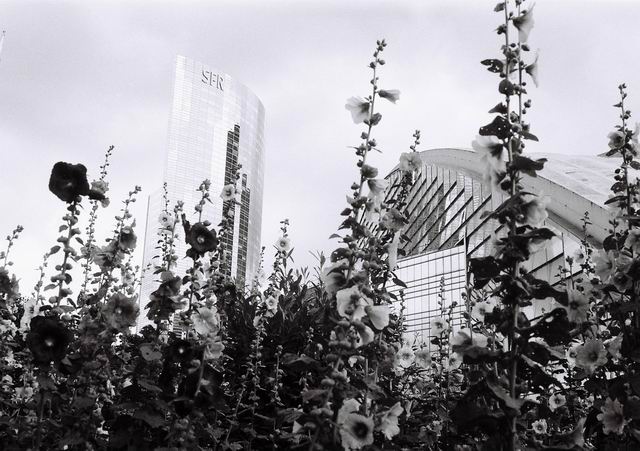 la defense - paris 2007 foto lucian muntean 20