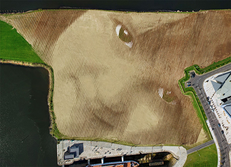 A Monumental 11-Acre Portrait in Belfast by Jorge Rodríguez-Gerada
