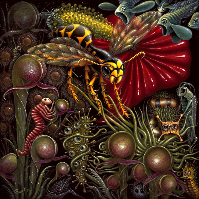 Flora_vs_Fauna_700px