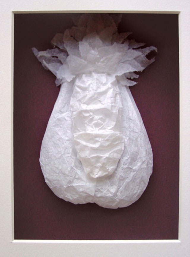 Paper Art by Cheong-ah Hwang (7)