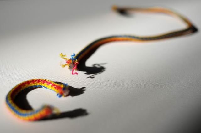 Resize of tricolor - romania - foto lucian muntean LM0_03