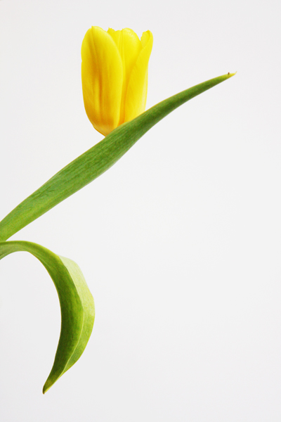 irina dumitrascu 2184