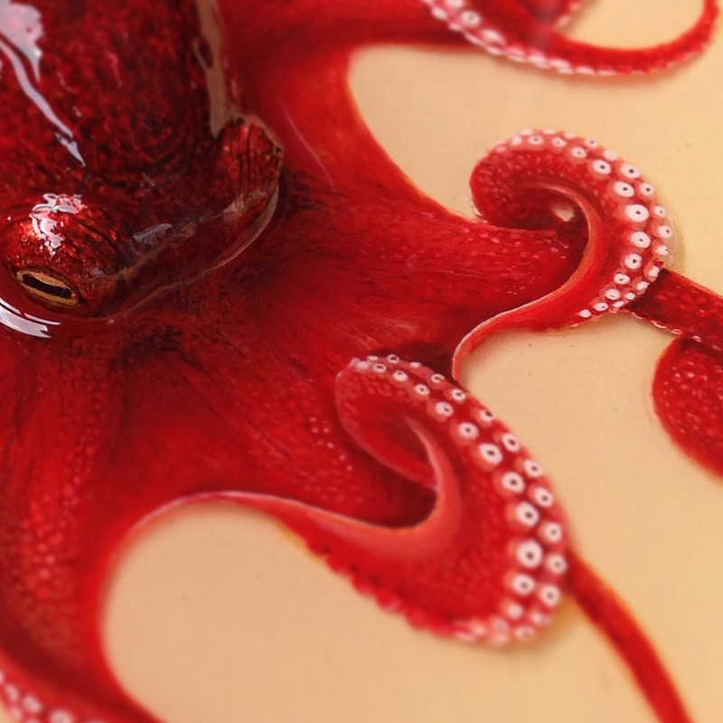 octo-5