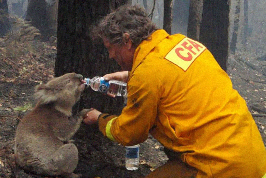 powerful-photos-7