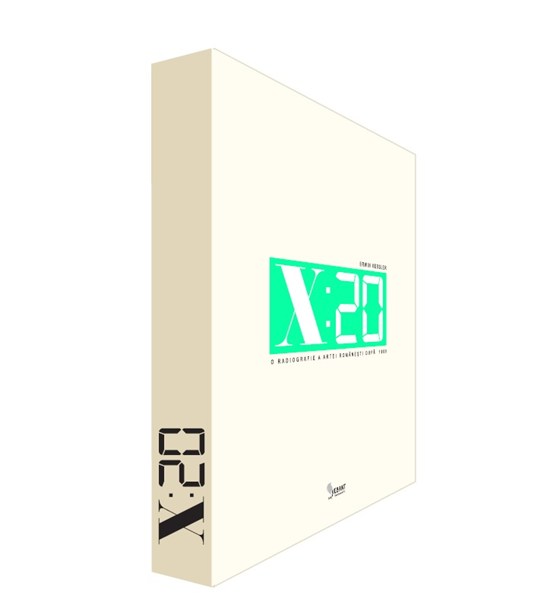 x:20 – radiografia parti-pris-urilor artei românești