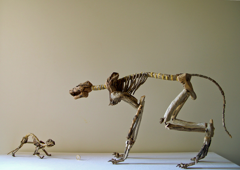 Fragile Skeletons by Giovanni Longo