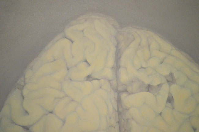 Galeriile-Visual-Kontakt-(1)