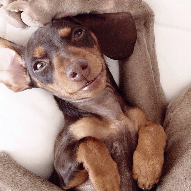 Indi-Smile