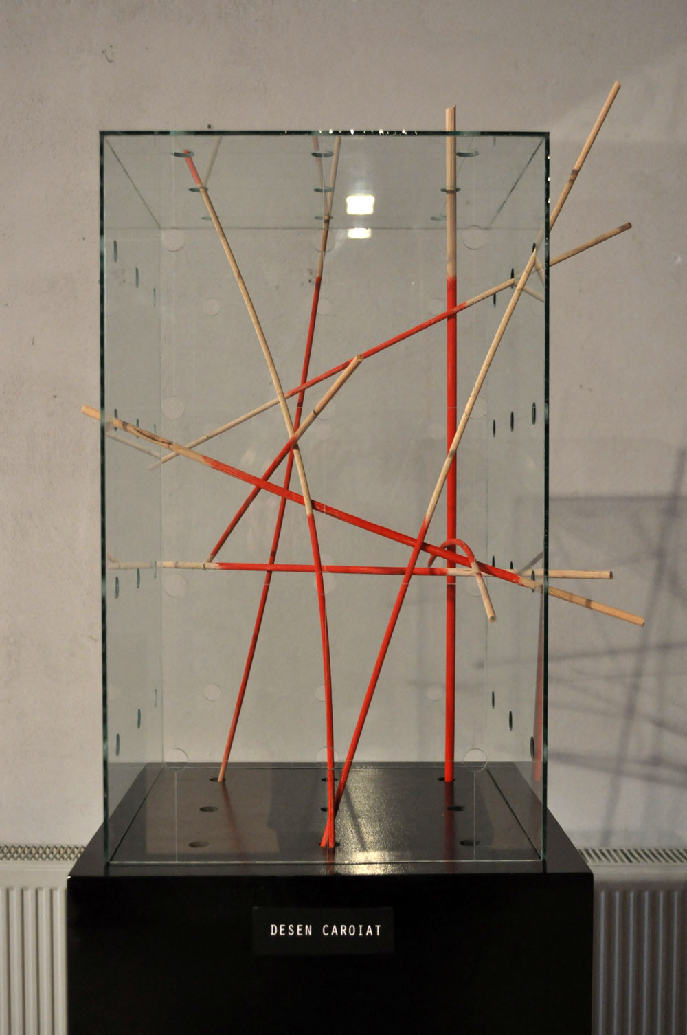 Mihai Ungureanu In Vitro @ ATELIER 030202, Bucuresti (17)