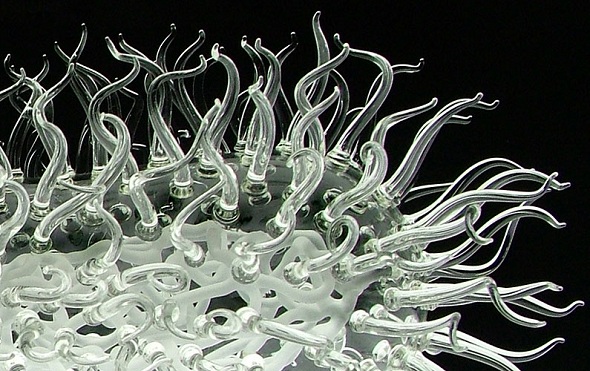 Truly-Breathtaking-Glass-Sculptures-Of-Deadly-Viruses-By-Luke-Jerram-4