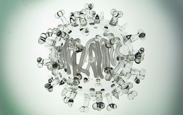 Truly-Breathtaking-Glass-Sculptures-Of-Deadly-Viruses-By-Luke-Jerram-6