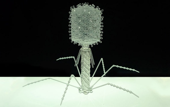 Truly-Breathtaking-Glass-Sculptures-Of-Deadly-Viruses-By-Luke-Jerram-9