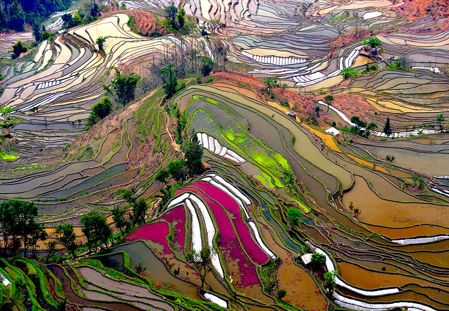 birds-eye-view-aerial-photography-29