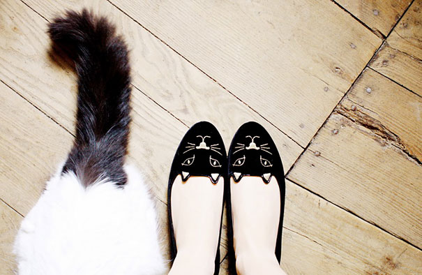gifts-for-cat-lovers-13