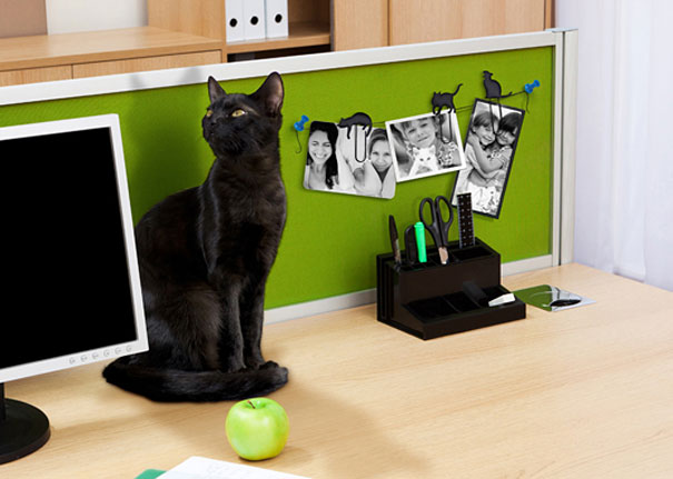 gifts-for-cat-lovers-16-1