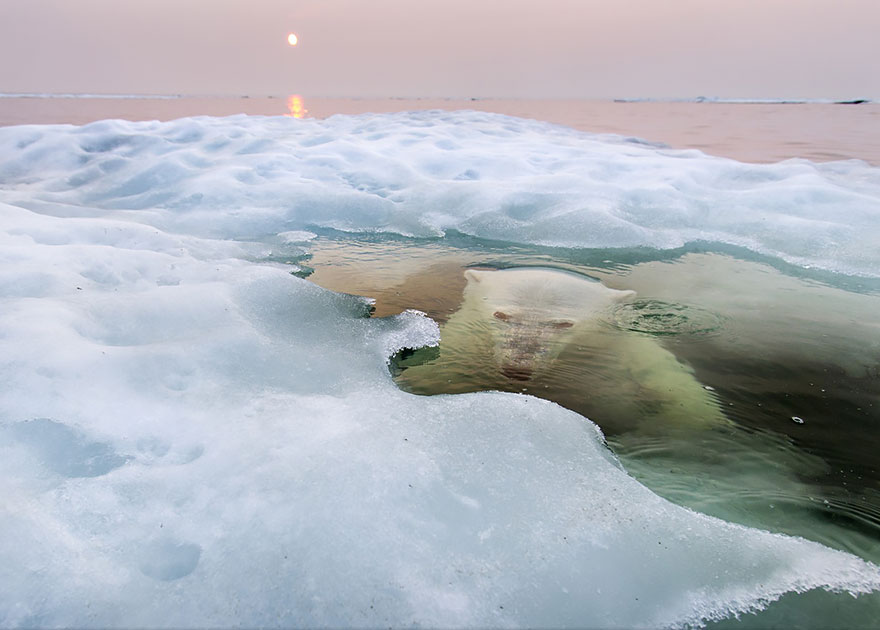 The Winners Of The 2013 National Geographic Photo Contest