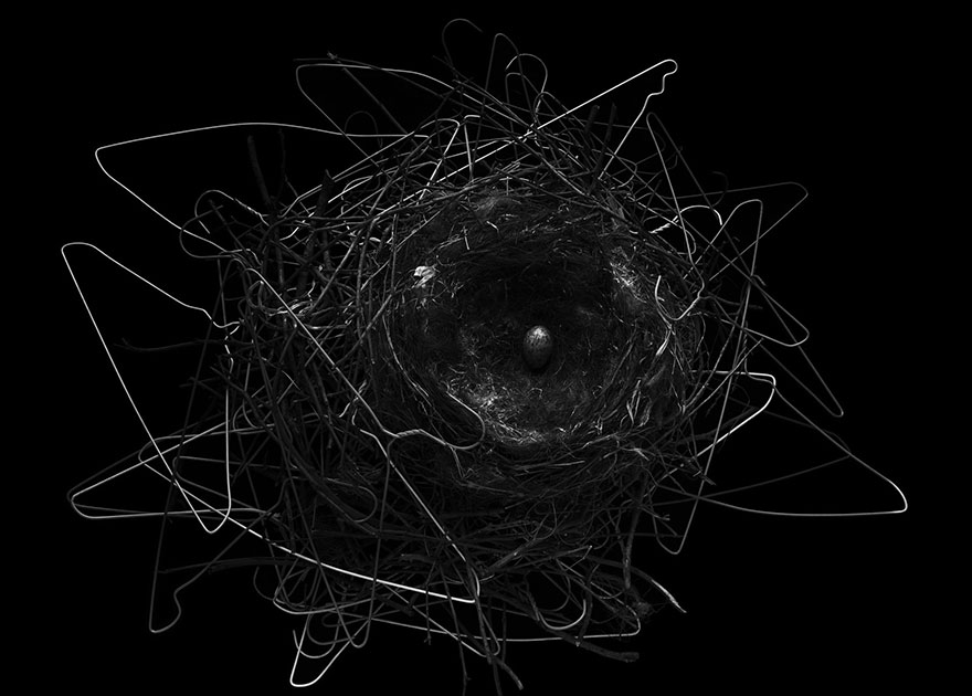 national-geographic-photo-contest-winners-2013-13