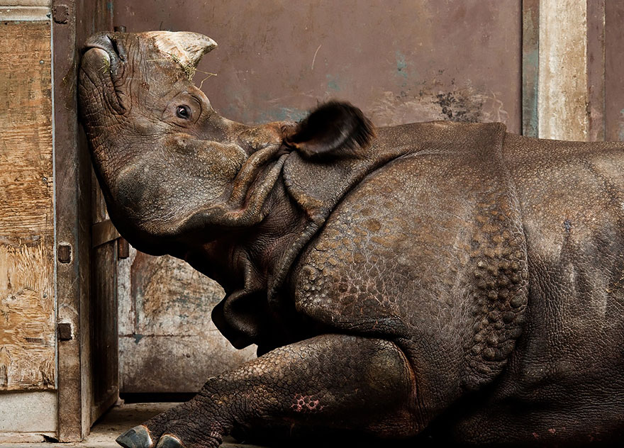 national-geographic-photo-contest-winners-2013-2