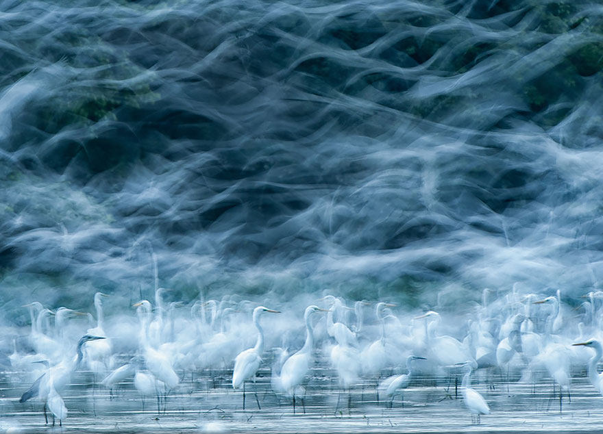 national-geographic-photo-contest-winners-2013-4