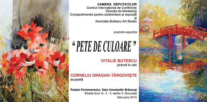 2 invitatie-Pete-de-culoare