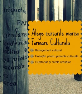 Formare Culturala_primavara 2014