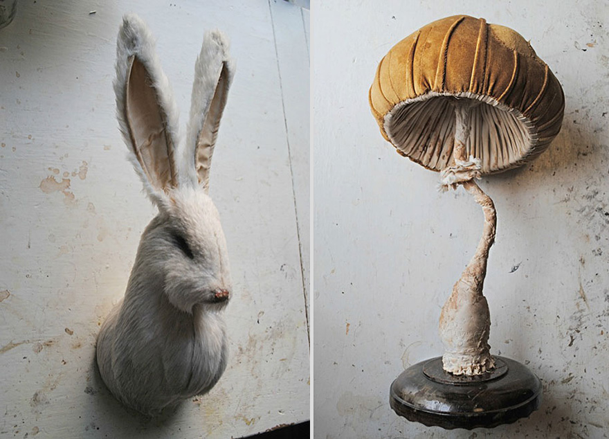 Self-Taught Artist Creates Fairytale Flora And Fauna From Vintage Fabrics