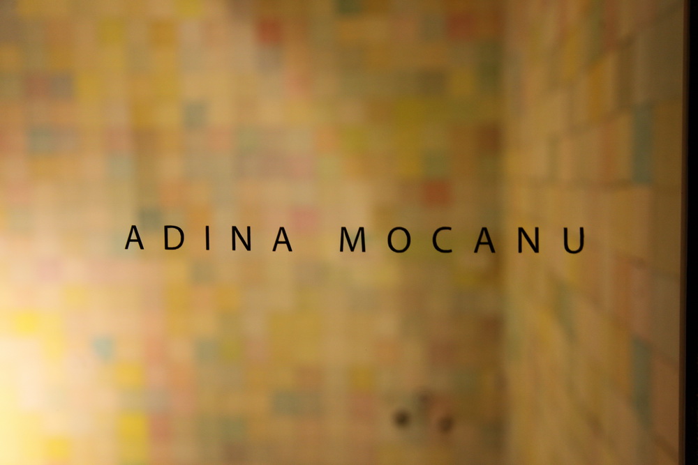 5 - Adina Mocanu IMG_8683