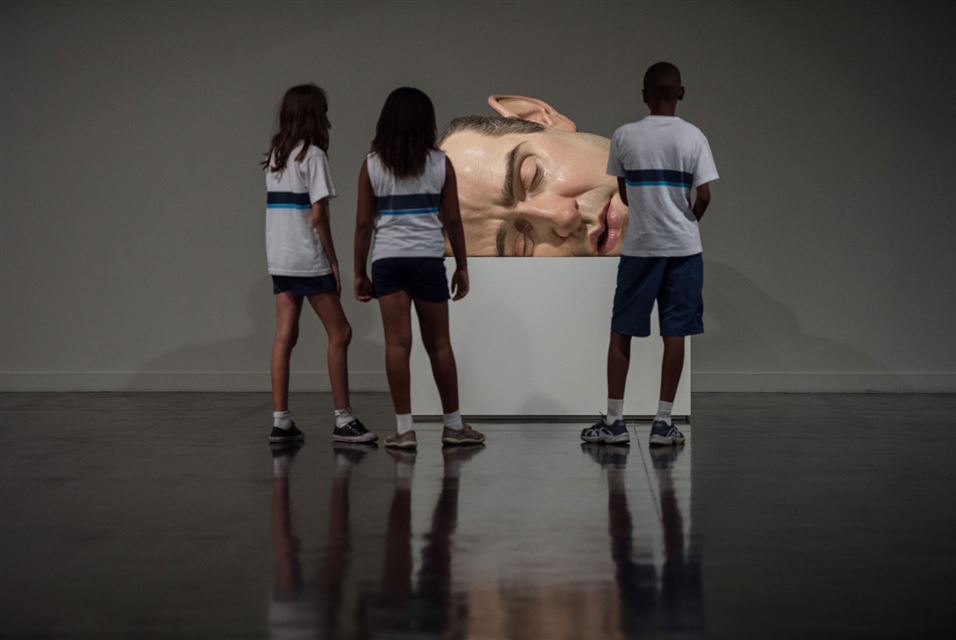 Ron Mueck (10)