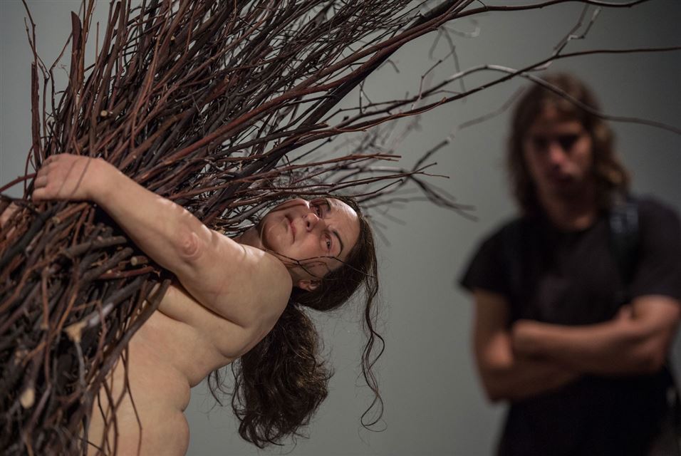 Ron Mueck (6)