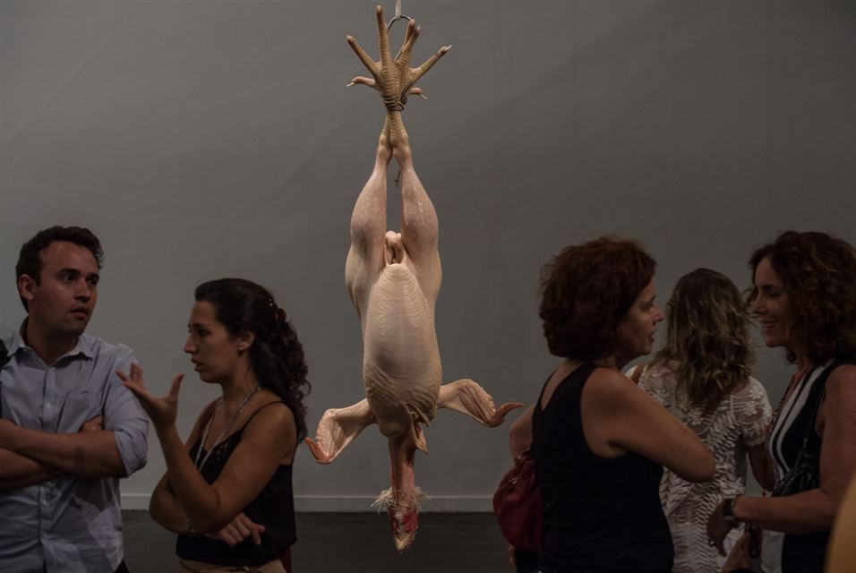 Ron Mueck (8)