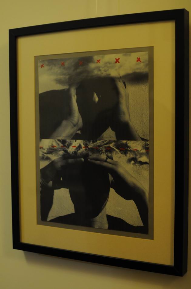 anca muresan - ion grigorescu - aiurart  LM0_30