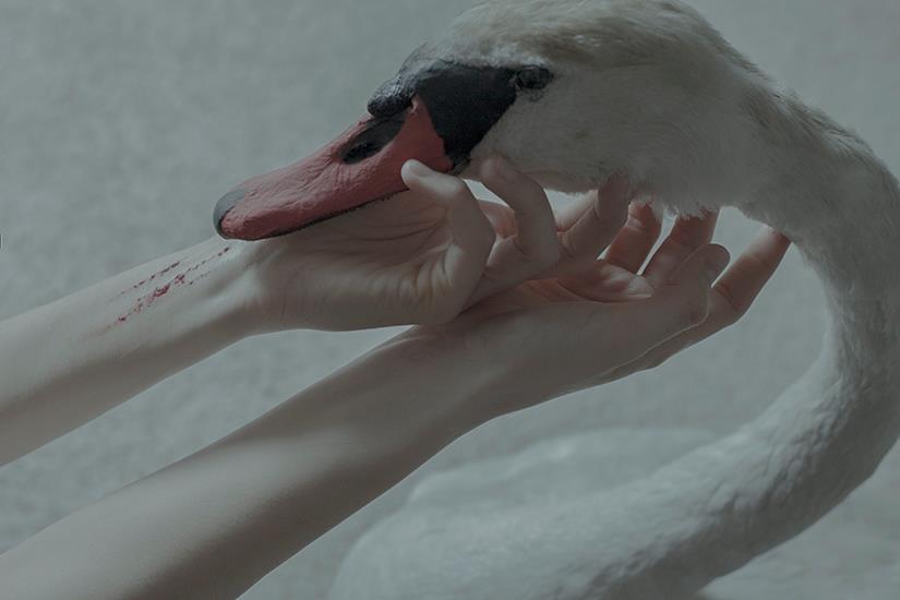 laura makabresku 15
