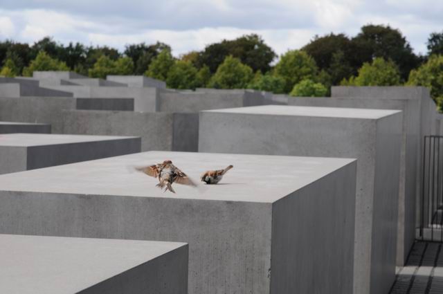 Resize of berlin comemorare holocaust foto lucian muntean _0002