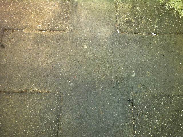 Resize of semne - foto lucian muntean LM0006