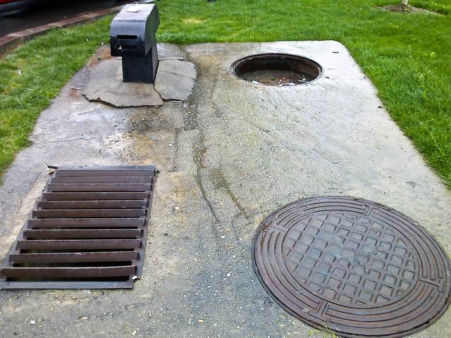 Resize of semne - foto lucian muntean LM0009