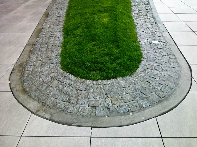 Resize of semne - foto lucian muntean LM0011