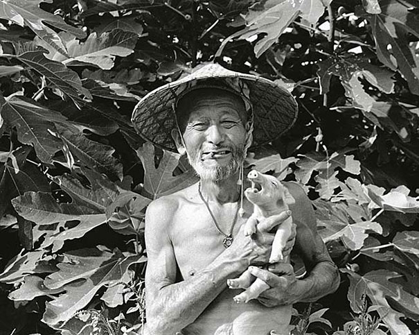 otchan-cute-pig-farmer-toshiteru-yamaji-16